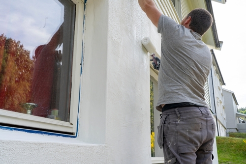 Expert Painting Services